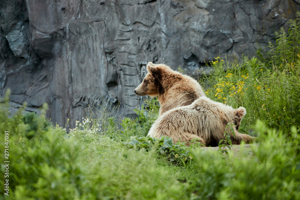 Obraz premium Zoomwelt Gelsenkirchen