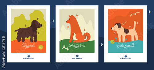 Funny posters with spaniel, akita inu, jack russell. Set of vector illustration with different dog breeds. Elements for design, logo pet shop, styling, washing, grooming salon, food for home animals. 