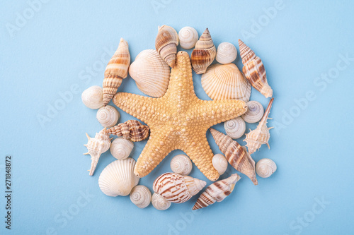 Summer texture copy space starfish seashell top view blue background