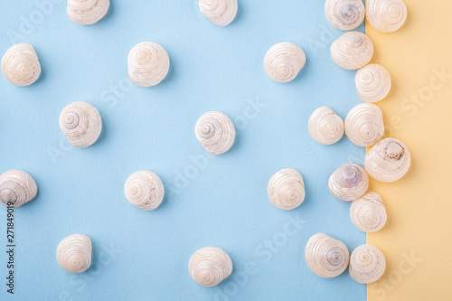 Summer texture pattern copy space seashell top view blue and yellow background