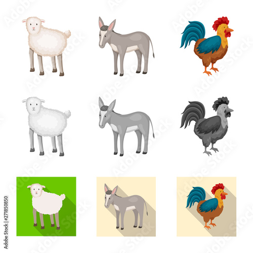 Vector illustration of breeding and kitchen  icon. Collection of breeding and organic  stock vector illustration. © pandavector