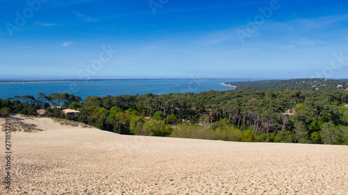 Forêt Dune du Pyla, côté mer