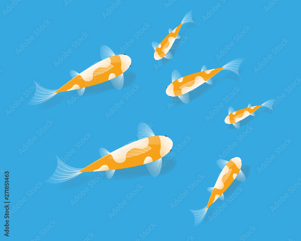 Fototapeta premium Vector Koi Fish in water - Vector