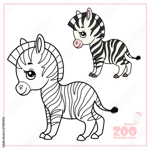 Cute cartoon little zebra color and outlined on a white background  for coloring page