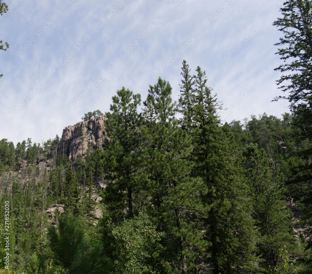 Fototapeta premium Piękna bujna przyroda z formacjami skalnymi i sosnami w Custer State Park w Dakocie Południowej.