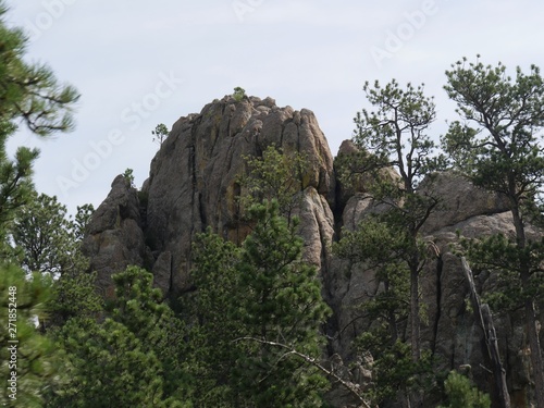 Close up of tall rock formations and scenic landscape along Needles Highway, Custer State Park, South Dakota.