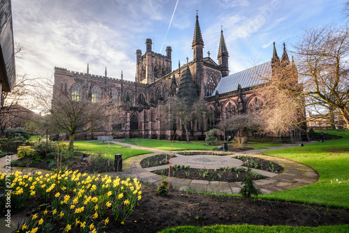 Canvastavla Spring flower blooming in the garden of Chester cathedral , Chester city, England