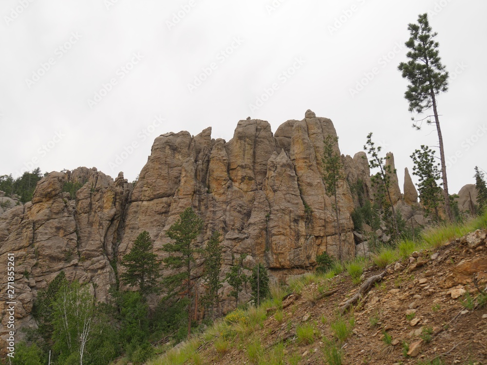  Close view of granite cliffs and rock formations on the roadside along Needles Highway at Custer State Park, South Dakota.
