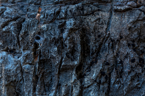 Wallpaper Mural Texture of natural stone background. Close-up. Space for text. Torontodigital.ca