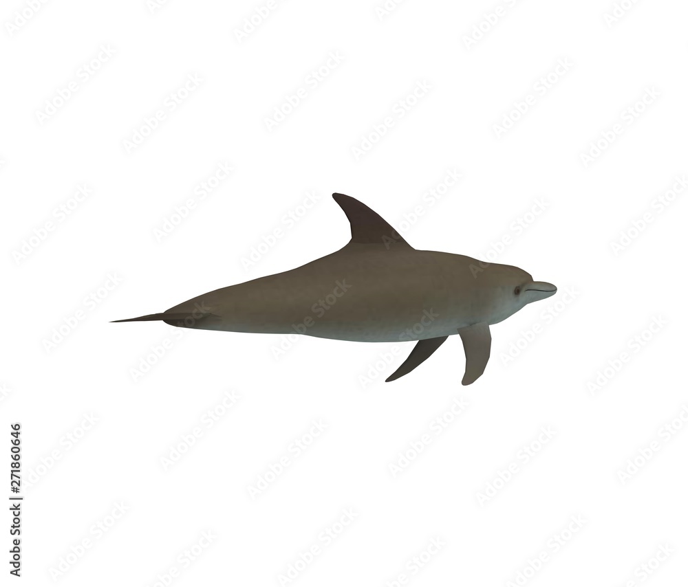 Obraz premium Dolphin isolated on white 3D Rendering