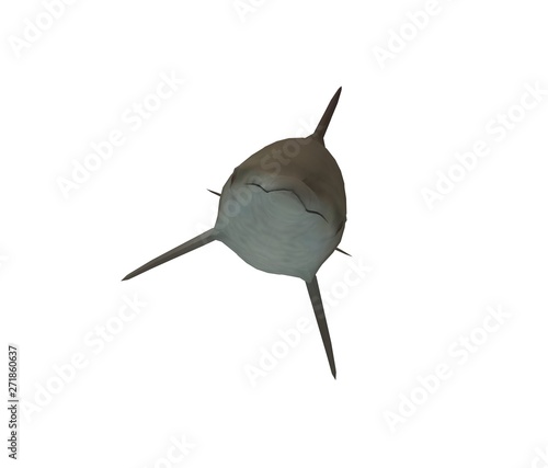 Dolphin isolated on white 3D Rendering