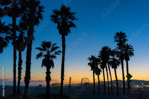 Santa Monica sunset between trees in California, USA 