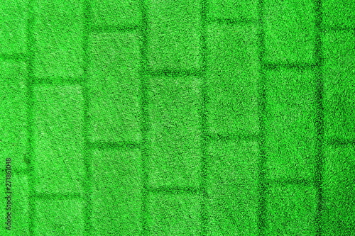 Green grass background with a brick wall texture.