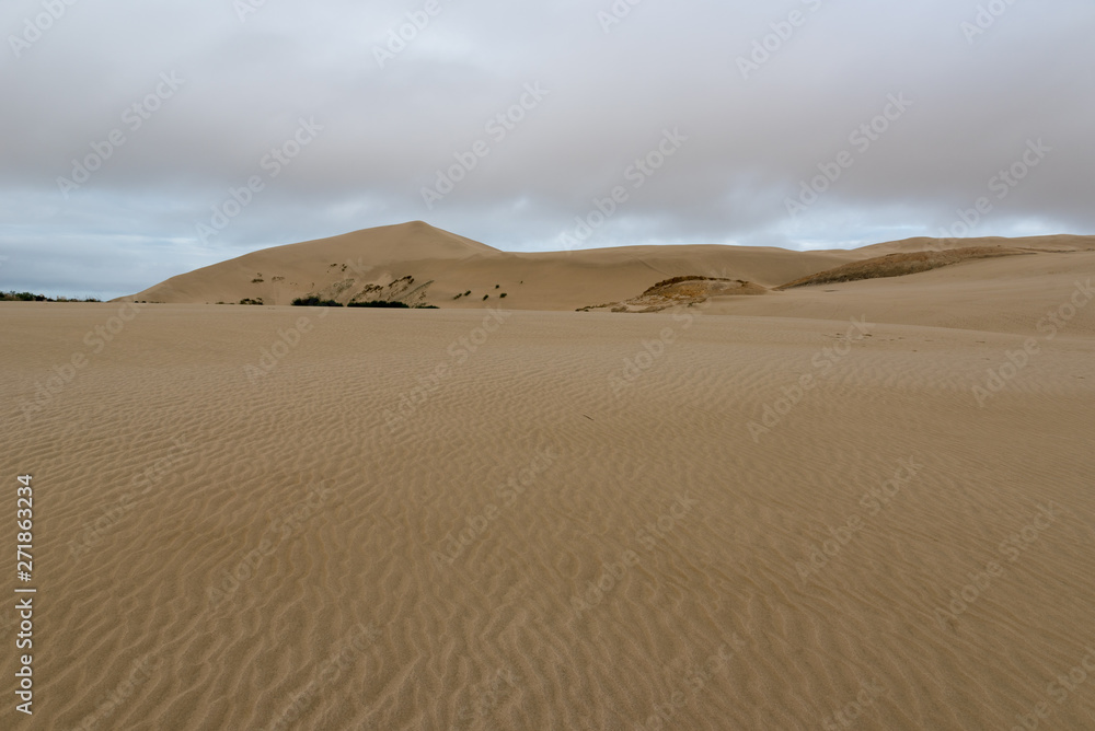 Te Paki sand dunes under an overcast sky. Northland, New Zealand.