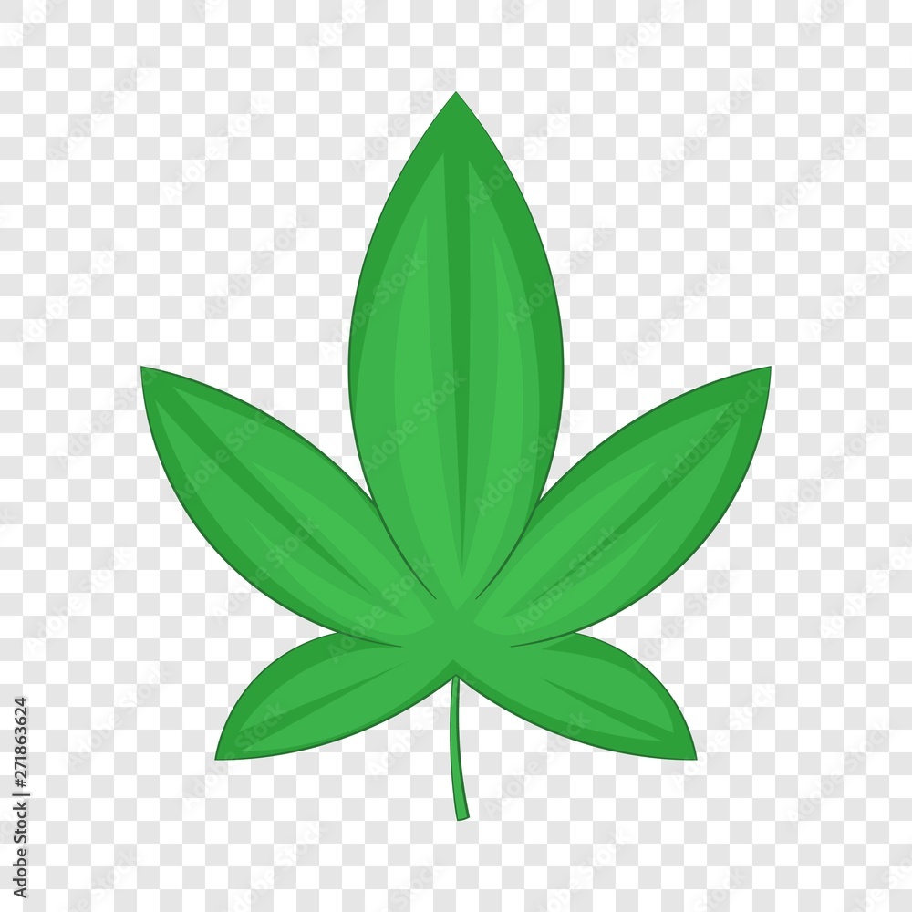 Cannabis leaf icon. Cartoon illustration of cannabis leaf vector icon for web design Cannabis leaf icon. Cartoon illustration of cannabis leaf vector icon for web design
