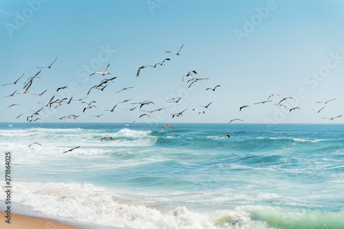 Beautiful Seascape in Blue and Turquoise Colors. Flock of Flying Pelicans over the Sea.