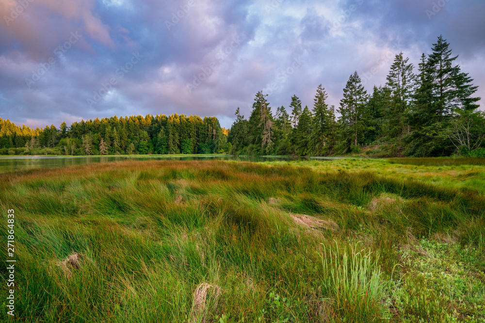 Fototapeta premium Oyster Bay Spring Colors And Grasslands