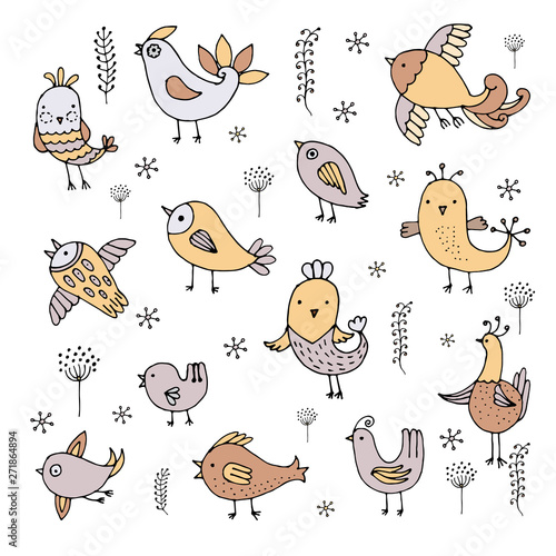 Cute birds in vector. Cartoon set on white background