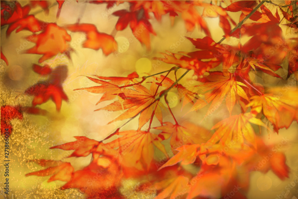 Autumn background. Colorful red fall maple leaves and abstract sun light