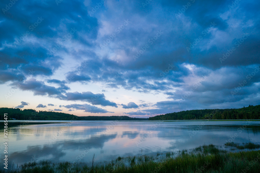 Fototapeta premium Oyster Bay Spring Colors And Grasslands
