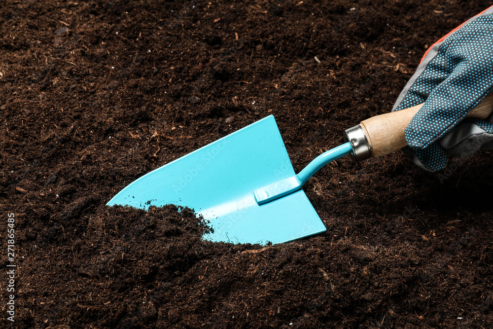 Woman digging soil with metal gardening trowel, closeup Woman digging soil with metal gardening trowel, closeup