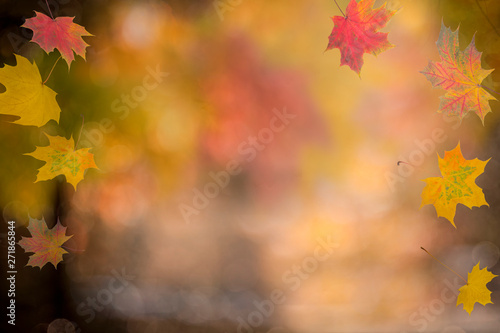 autumn background, bokeh effect