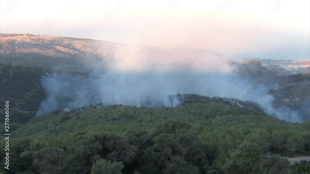 Forest Fire Mount Carmel Wide shot from the large Forest Fire Mount Carmel Forest Fire Mount Carmel Wide shot from the large Forest Fire Mount Carmel