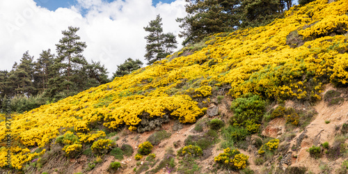 Hills in Aveyron, France photo