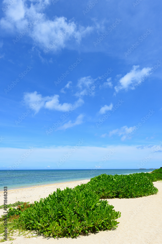 沖縄の美しい海 沖縄の美しい海