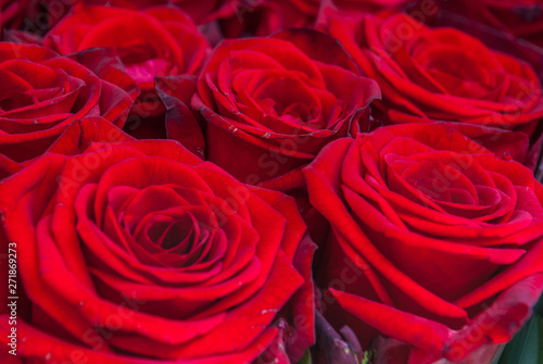 beautiful bouquet of red rose flower. the work of the florist at a flower shop.