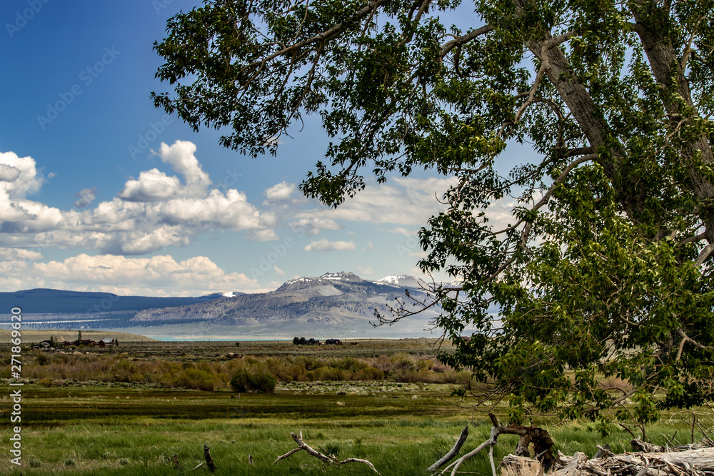 Landscape of the northern side os Mono Lake with beautiful meadows and mountains