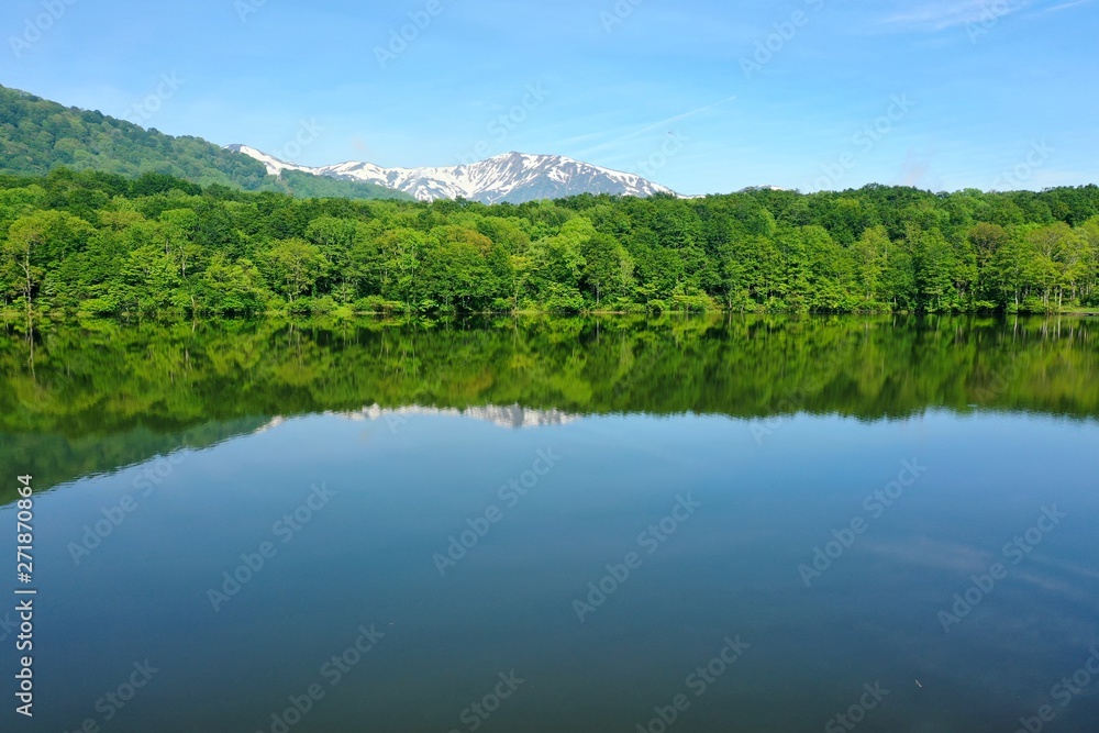 新潟県　糸魚川市にある初夏の蓮華白池