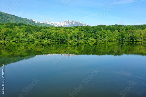 新潟県 糸魚川市にある初夏の蓮華白池