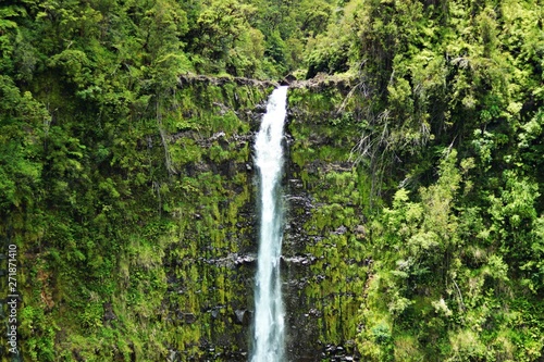 waterfall in the forest- Hawaii