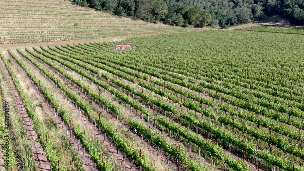 Farm tractor spraying pesticides & insecticides herbicides over green vineyard field. Napa Valley, Napa County, California, USA Farm tractor spraying pesticides & insecticides herbicides over green vineyard field. Napa Valley, Napa County, California, USA