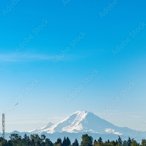 Mr. Rainer from the Seattle Link Light rail station