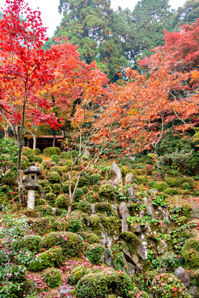 Autumn colors at the Japanese garden of Kongourinji, a temple in Shiga prefecture, Japan Autumn colors at the Japanese garden of Kongourinji, a temple in Shiga prefecture, Japan