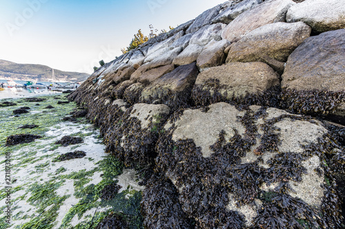 rocks in the sea
