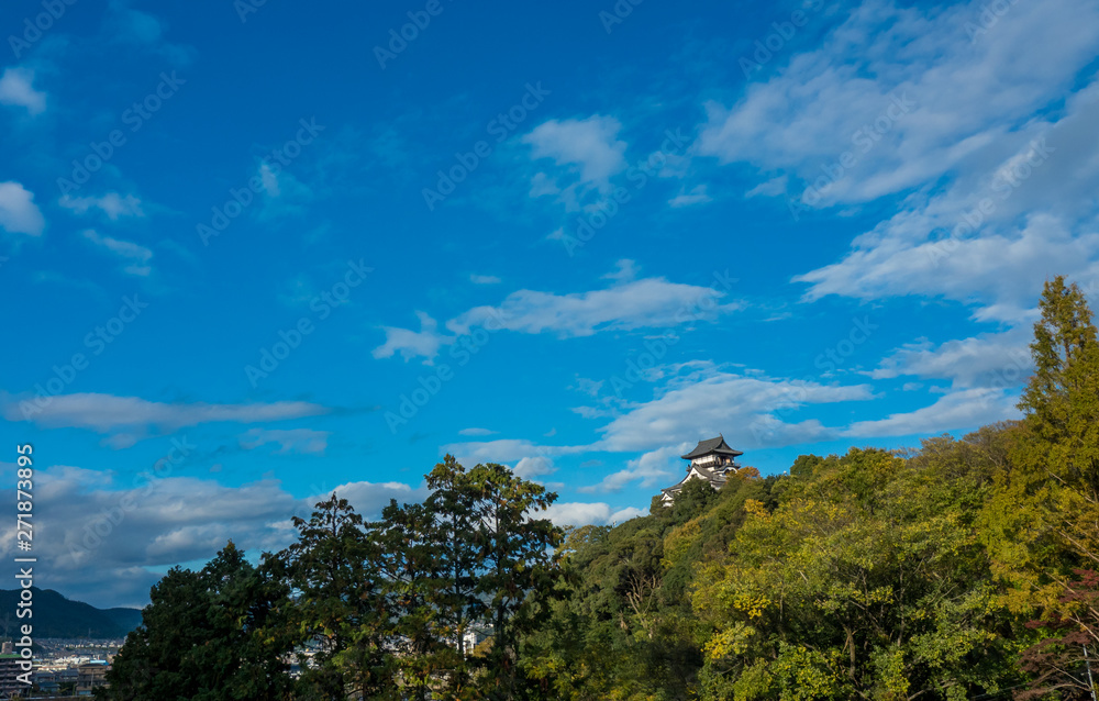 夏の綺麗な犬山城の風景