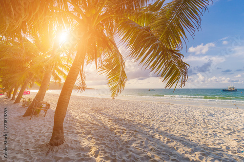 Coconut palm trees against blue sky and beautiful beach in samet island, Thailand. photo