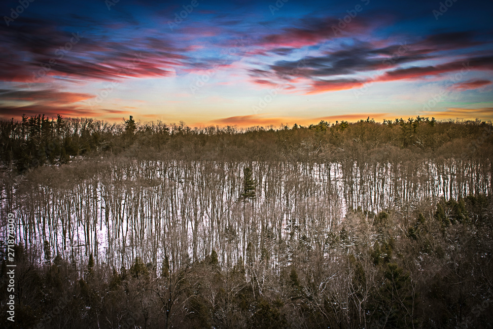 Fototapeta premium Open field at sunset