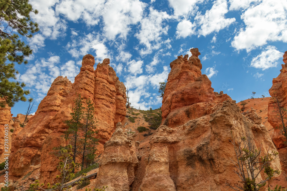 Bryce Canyon National Park, Utah, USA