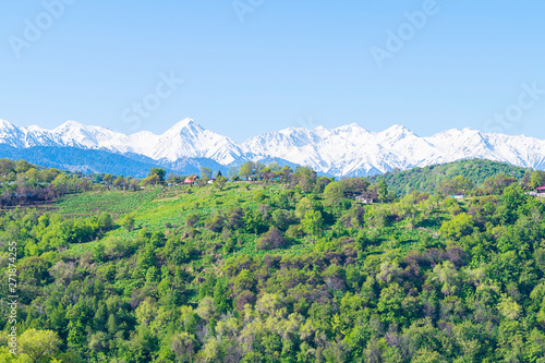 Beautiful green illustration on blue backdrop. Green mountain forest landscape.  Beautiful spring landscape. Mountain tourism  hiking. Sunny spring day. Panoramic view.