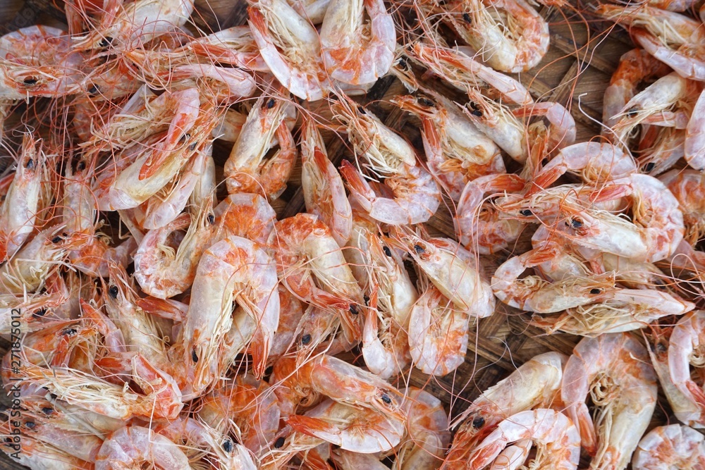 close up Small dried shrimp for cooking