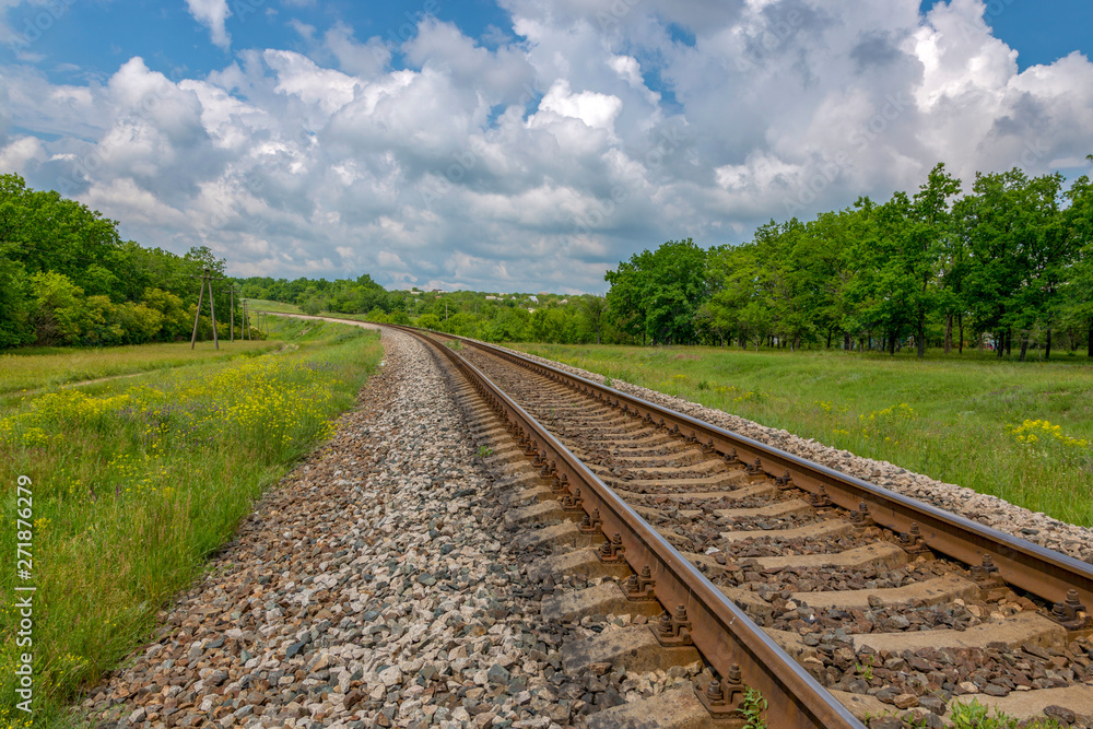 Summer landscape with railway, trees and wildflowers