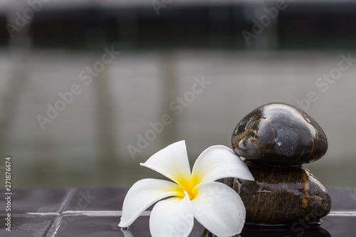 White with yellow plumeria flower on pebble rock