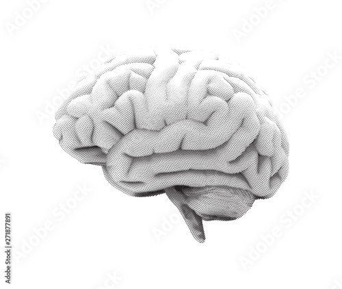 Monochrome engraving brain isolated on white BG