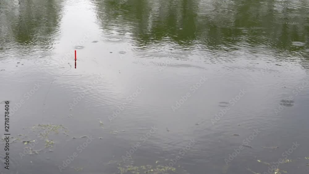 Good bite on fishing light rain, carp big catch on the fishing rod float Good bite on fishing light rain, carp big catch on the fishing rod float