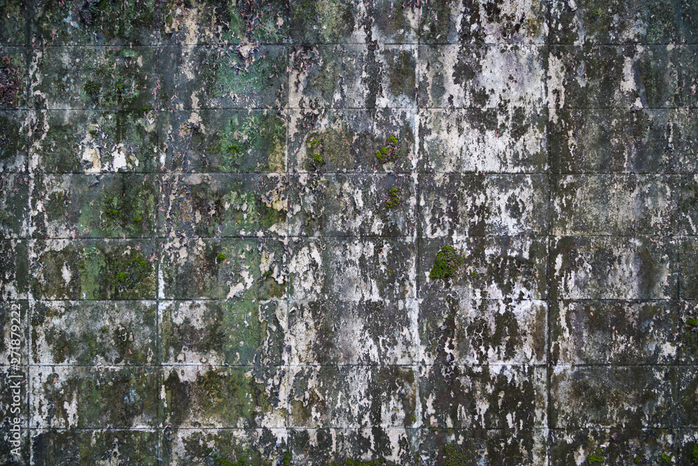 Obraz premium Old gray brick wall texture background