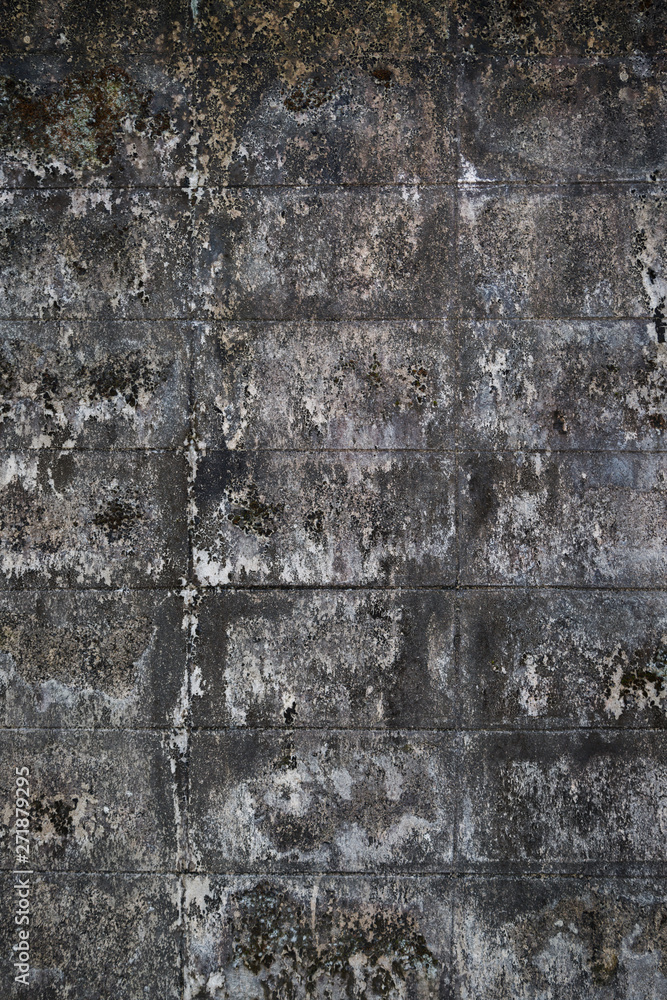 Fototapeta premium Old gray brick wall texture background
